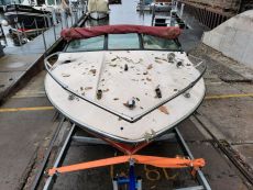 GfK Sportmotorboot Reinell V1701 Volvo Penta 130PS GfK Sportmotorboot Reinell V1701 Volvo Penta 130PS